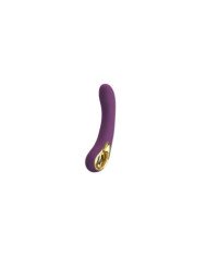 PRETTY LOVE - ETHAN VIBRATEUR RECHARGEABLE VIOLET