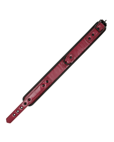 FETISH SUBMISSIVE DARK ROOM - COLLIER AVEC LAISSE AVEC DOUBLURE EN NÉOPRÈNE