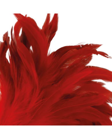DARKNESS - PLUME ROUGE 24CM