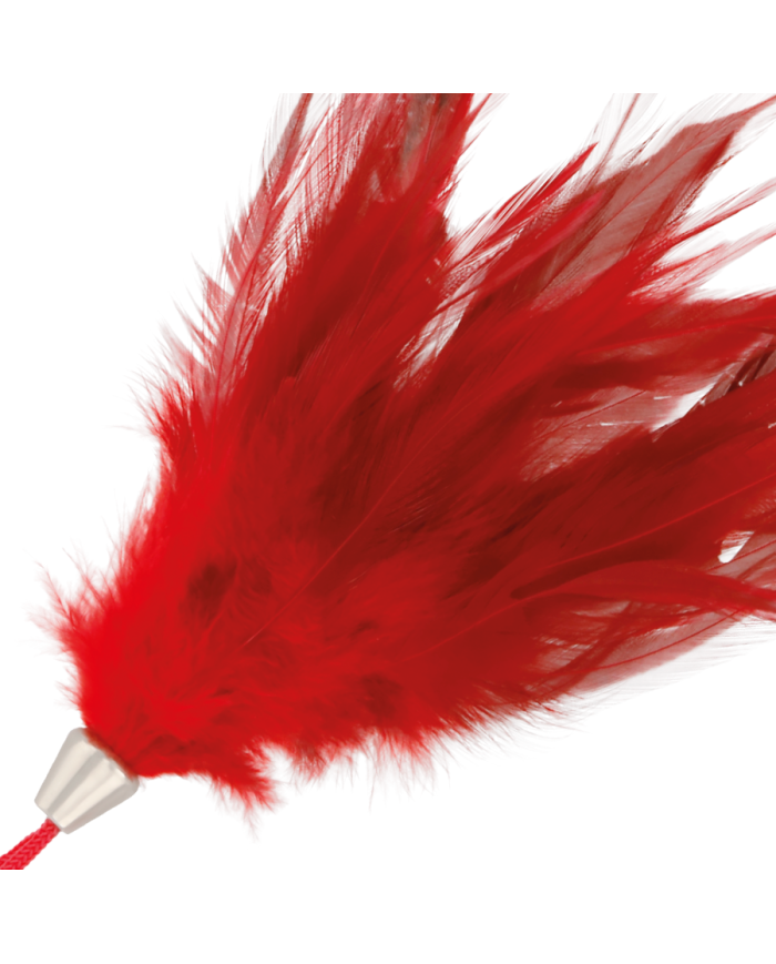 DARKNESS - PLUME ROUGE 17CM
