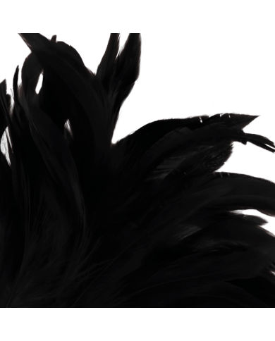 DARKNESS - PLUME NOIRE LUX