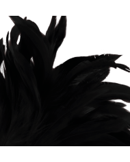 DARKNESS - PLUME NOIRE LUX