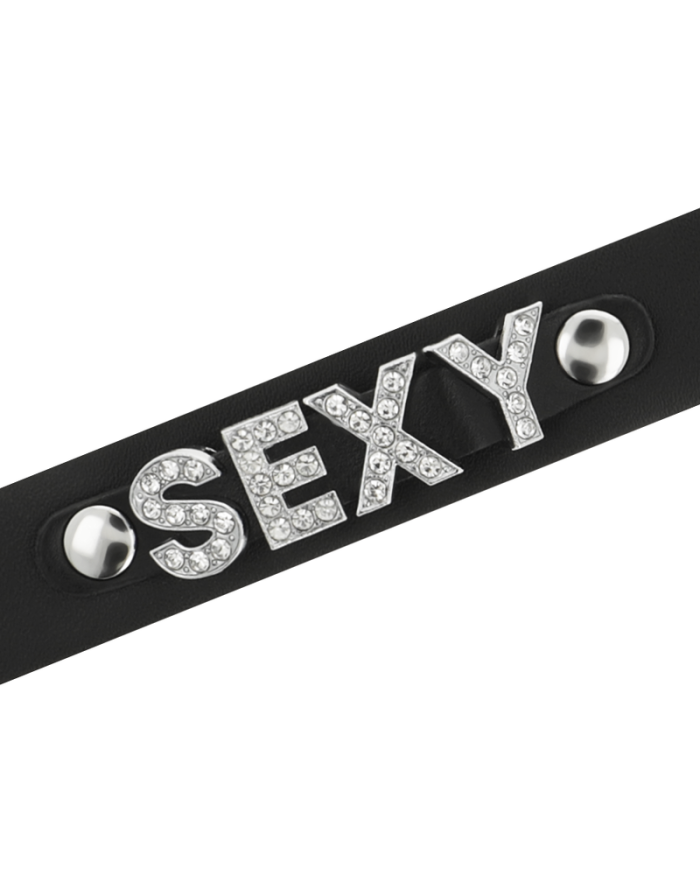 COQUETTE CHIC DESIRE - RAS DE COU SEXY EN CUIR VÉGAN