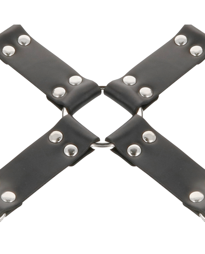 DARKNESS - ENSEMBLE HOGTIE NOIR