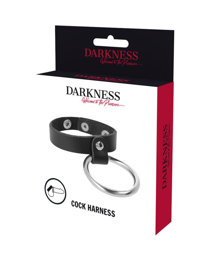 DARKNESS - ANNEAU MÉTALLIQUE POUR LE PÉNIS ET LES TESTICULES