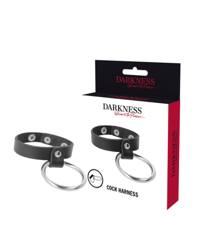 DARKNESS - ANNEAU MÉTALLIQUE POUR LE PÉNIS ET LES TESTICULES