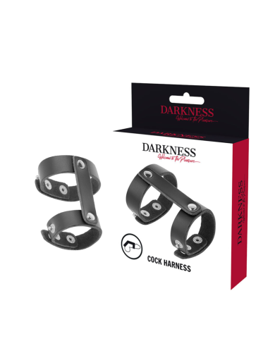 DARKNESS - ANNEAU DE PÉNIS ET TESTICULES RÉGLABLE EN CUIR