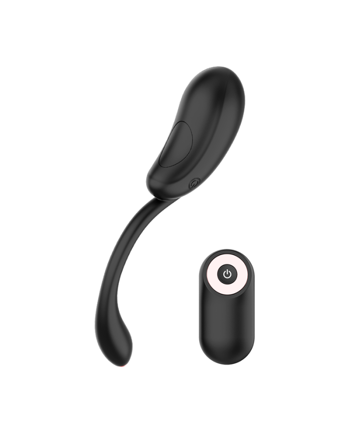 COQUETTE CHIC DESIRE - OEUF VIBRANT TÉLÉCOMMANDE RECHARGEABLE NOIR/OR