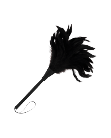 DARKNESS - PLUME NOIRE LUX
