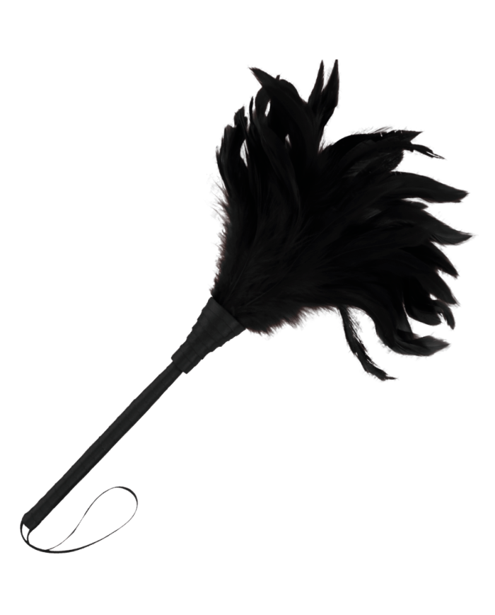 DARKNESS - PLUME NOIRE LUX
