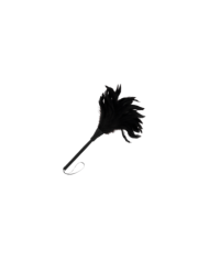DARKNESS - PLUME NOIRE LUX