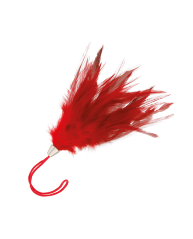 DARKNESS - PLUME ROUGE 17CM