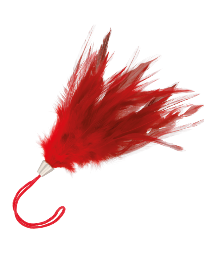 DARKNESS - PLUME ROUGE 17CM