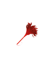 DARKNESS - PLUME ROUGE 24CM